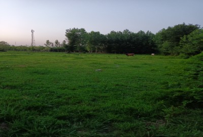 فروش زمین در گیلان ۴۵۰۰ متر فومن روستای کردآباد