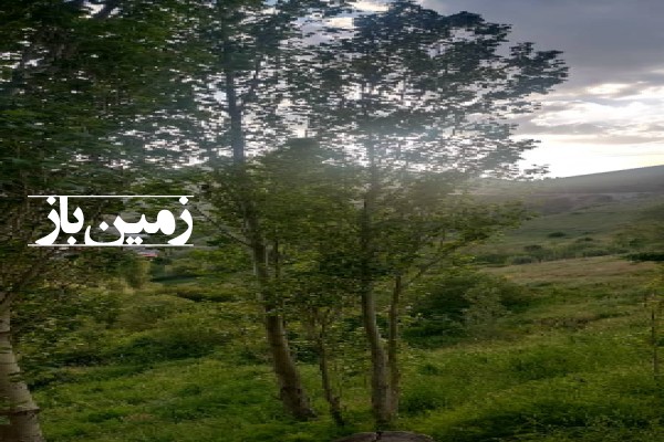 فروش زمین مسکونی در گیلان ۹۰۰ متر ماسوله روستای جلالیه-2