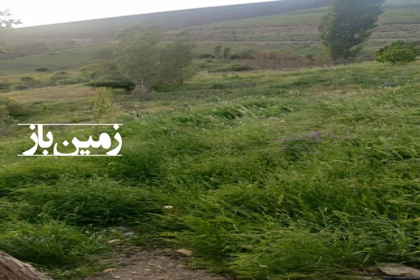 فروش زمین مسکونی در گیلان ۹۰۰ متر ماسوله روستای جلالیه-3