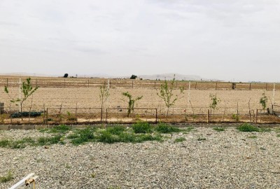 فروش زمین کشاورزی در تهران ۱۵۰۰۰ متر پیشوا