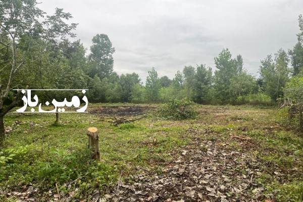 زمین فروشی کشاورزی مسکونی و باغی گیلان ۹۳۳ متر سنگر روستای قاضیان-1