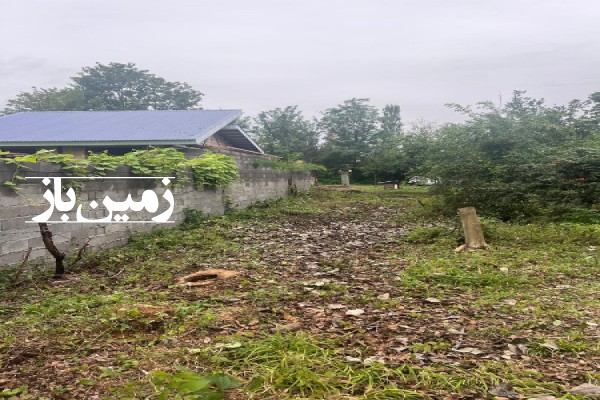 زمین فروشی کشاورزی مسکونی و باغی گیلان ۹۳۳ متر سنگر روستای قاضیان-2