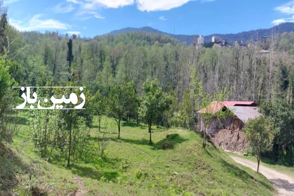 فروش زمین مسکونی باغی شمال ۷۶۷ متر نشتارود روستای کنسکوه-1