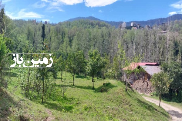 فروش زمین مسکونی باغی شمال ۷۶۷ متر نشتارود روستای کنسکوه-2