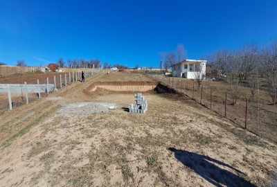 فروش زمین باغی گیلان ۶۰۰ متر رستم آباد روستای شیرکوه