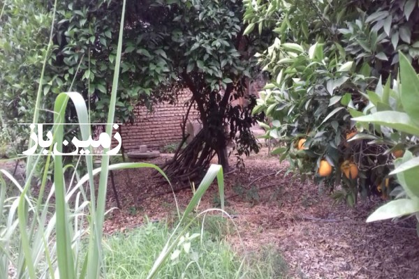 فروش زمین مسکونی باغی روستای بالا گنج افروز بابلکنار مازندران ۱۰00 متر-3