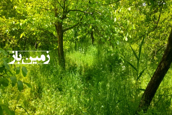 فروش باغ در روستای ترپ بعد از امند جاده تبریز صوفیان ۱۰۰۰ متر زمین-2