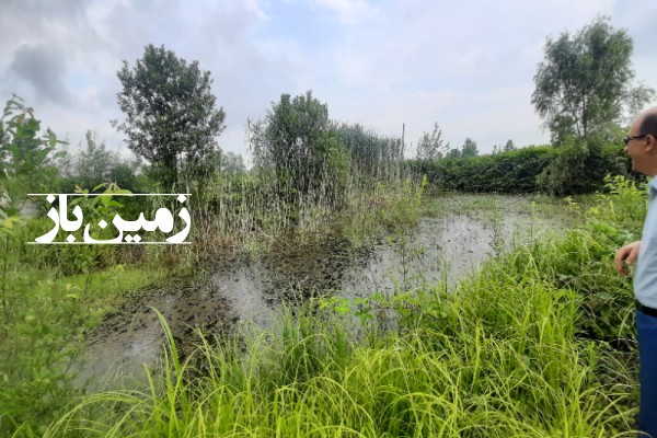 فروش زمین در گیلان ۲۵۰۰ متر سنگر روستای طالم-4