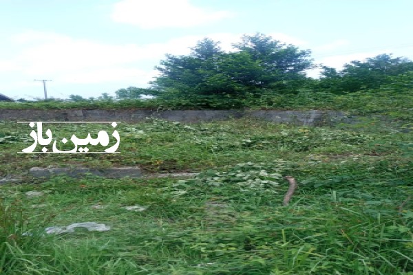 فروش زمین مسکونی در گیلان ۲۰۴ متر جاده رشت به فومن روستای پسیخان-1