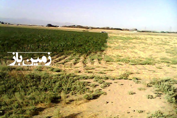 فروش زمین کشاورزی در تهران ۱۵۶۰۰ متر قرچک روستای داوودآباد باقرآباد-2