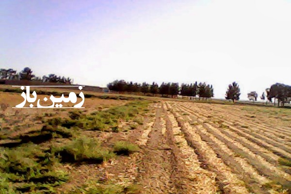 فروش زمین کشاورزی در تهران ۱۵۶۰۰ متر قرچک روستای داوودآباد باقرآباد-3