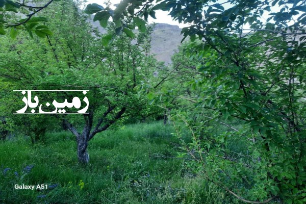 فروش زمین باغ در البرز 7000 متر طالقان روستای کرکبود پسین چال-1