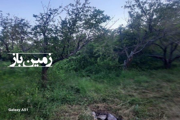 فروش زمین باغ در البرز 7000 متر طالقان روستای کرکبود پسین چال-2