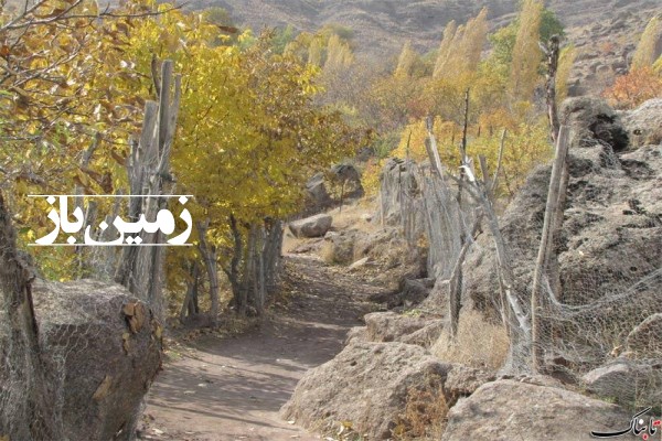 فروش زمین باغ در البرز 7000 متر طالقان روستای کرکبود پسین چال-4