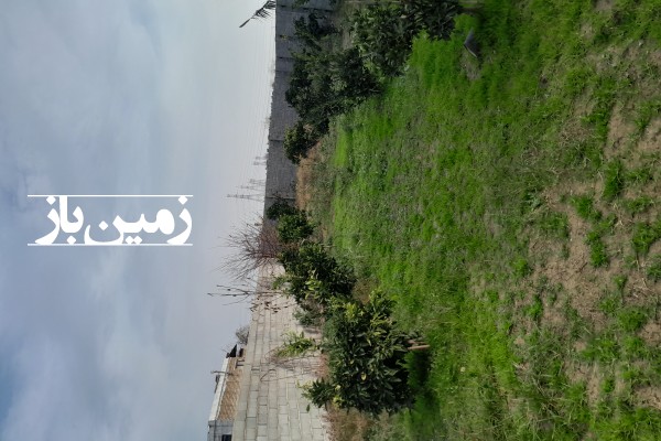 فروش زمین مسکونی باغی در شمال 320 متر نکا جاده دریا روستای نوذراباد-1