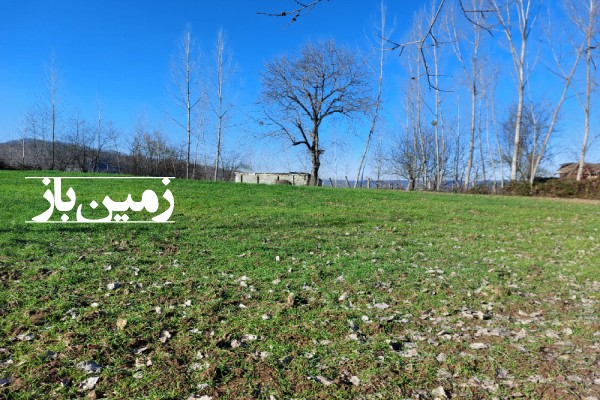 فروش زمین در شمال ۱۰۰۰ متر نکا هزار جریب روستای ملاخیل-3