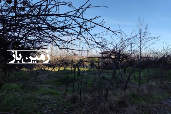 فروش زمین مسکونی شمال ۳۰۰ متر چالوس زوات غرب-2