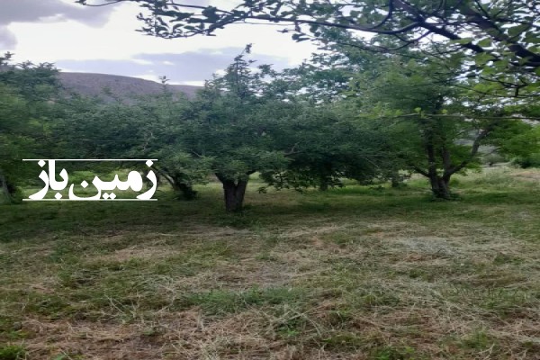 فروش زمین مسکونی باغی در فارس ۵۰۰ متر سپیدان روستای کهکرون-2