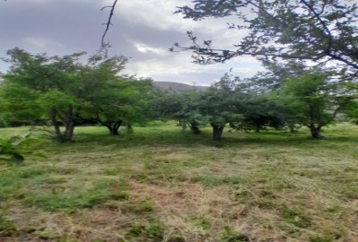فروش زمین مسکونی باغی در فارس ۵۰۰ متر سپیدان روستای کهکرون