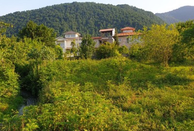 فروش زمین باغی مسکونی در گیلان 500 متر چابکسر روستای دوگلسر