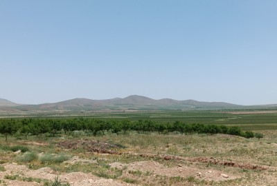 فروش زمین کشاورزی چهارمحال و بختیاری 12140 متر شهرکرد روستای شیخ شبان