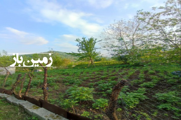 فروش زمین مسکونی شمال ۳۰۰ متر شیرگاه لفور روستای رئیسکلا-2