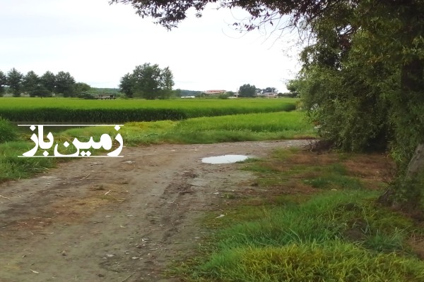 فروش زمین کشاورزی باغی شمال ۸۵۰ متر محمودآباد کلوده جاده عشق آباد-1