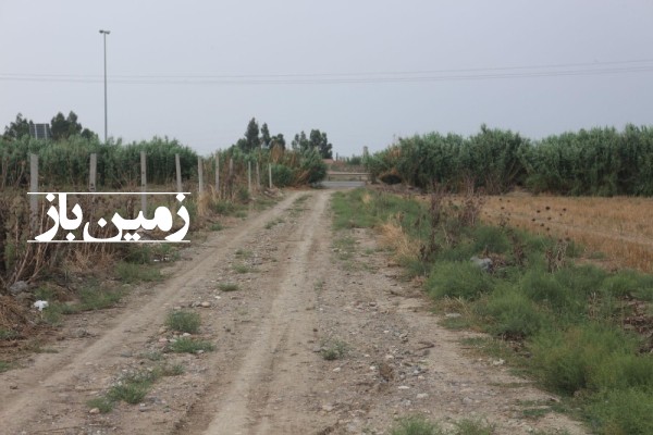 فروش زمین گلستان ۲۵۰ متر گرگان روستای محمدآباد-2