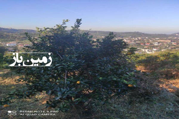 فروش زمین کشاورزی مسکونی شمال ۸۱۵۰ متر رامسر کتالم طلارسر-1