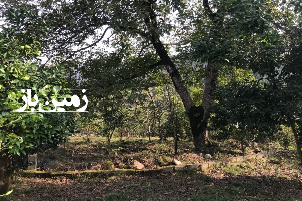 فروش زمین مسکونی گیلان ۲۱۰ متر چابکسر روستای فکجور-2