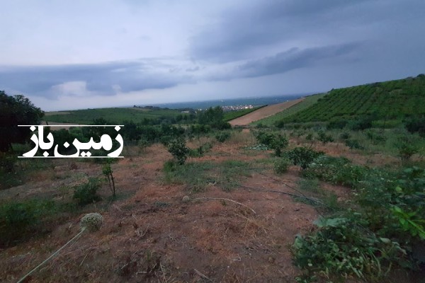 فروش زمین باغی مسکونی در شمال ۲۰۰۰ متر ساری محدوده روستای کیاپی-1