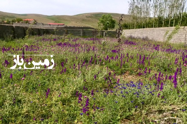 فروش زمین مسکونی در سمنان ۷۰۰ متر روستای واوسر نزدیک فولادمحله-1