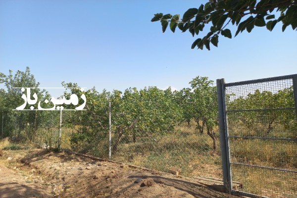 فروش باغ پسته با ۷۵۰ متر زمین قزوین بوئین زهرا روستای عشرت اباد-1