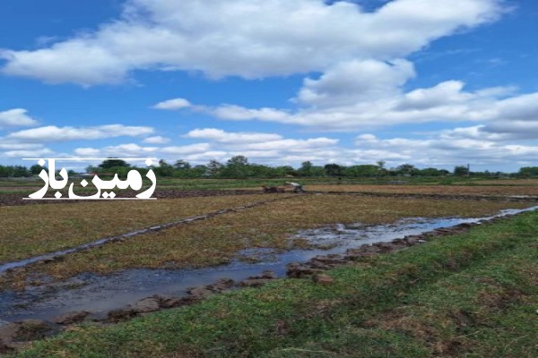 فروش زمین کشاورزی گیلان ۱۸۰۰ متر سنگر روستای ویشکاننک-1