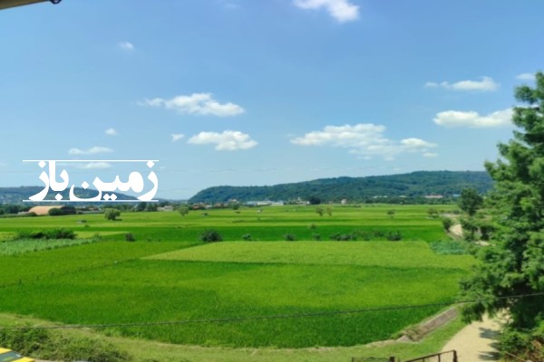 فروش زمین کشاورزی شمال ۲۶۰۰ متر شیرگاه روستای بشل-1