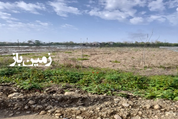 فروش زمین مسکونی گیلان ۱۰۰۰ متر اتوبان سراوان به فومن روستای شاخال-2