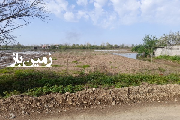 فروش زمین مسکونی گیلان ۱۰۰۰ متر اتوبان سراوان به فومن روستای شاخال-3