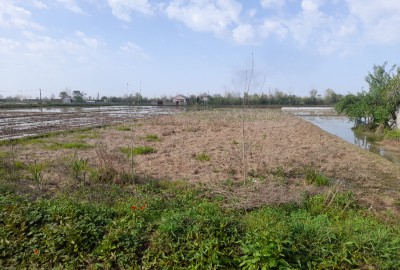 فروش زمین مسکونی گیلان ۱۰۰۰ متر اتوبان سراوان به فومن روستای شاخال