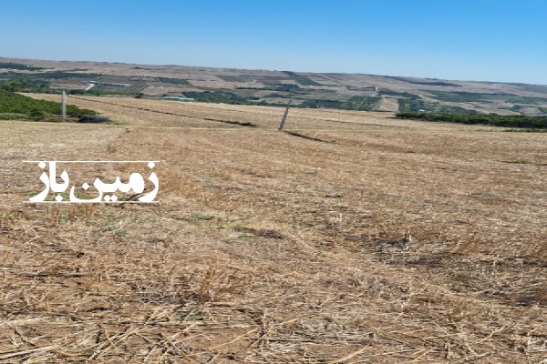 فروش زمین‌ کشاورزی‌ شمال ۴۰۰۰ متر میاندرود روستای جامخانه-4