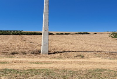 فروش زمین‌ کشاورزی‌ شمال ۴۰۰۰ متر میاندرود روستای جامخانه