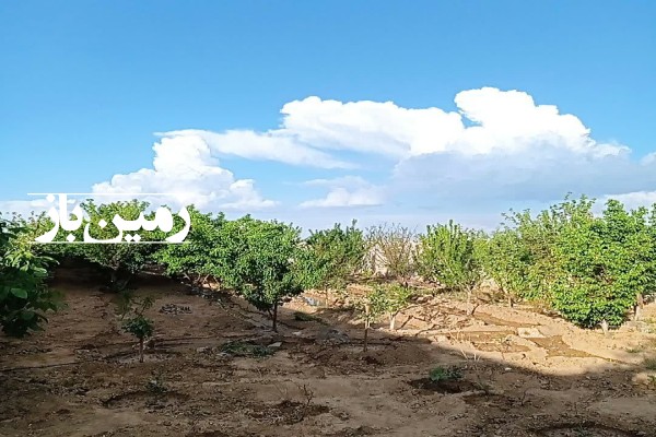 فروش باغ با ۱۰۵۰ متر زمین سمنان شاهرود پشت بسطام روستای الی کاهی-2