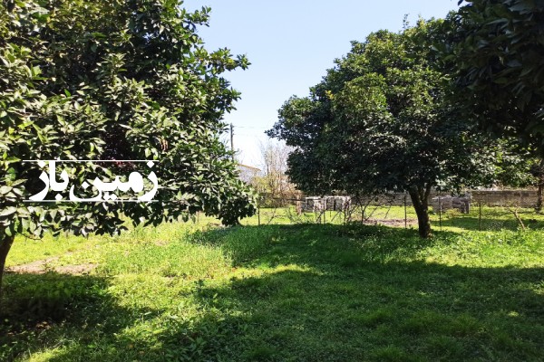 فروش زمین مسکونی گیلان ۳۰۰ متر پره سر روستای حوریان-1