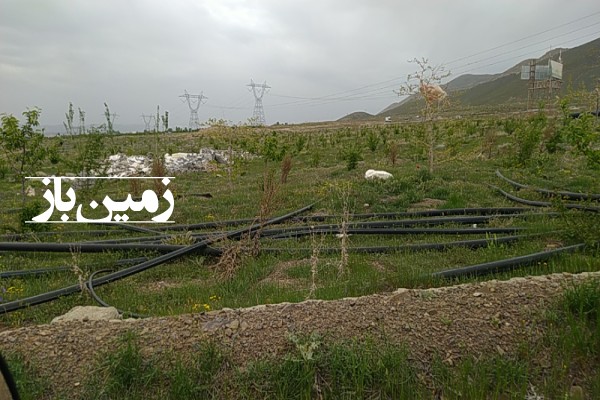 فروش زمین باغی تهران ۴۰۰ متر آب سرد روستای جابان سربندان-1