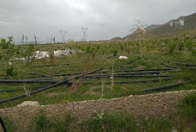 فروش زمین باغی تهران ۴۰۰ متر آب سرد روستای جابان سربندان