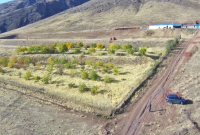 فروش زمین باغ ۲ هکتار البرز طالقان روستای دنبلید