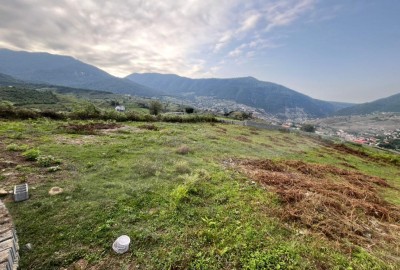 فروش زمین شمال ۲۴۰ متر نور لاویج روستای کیلاکلا