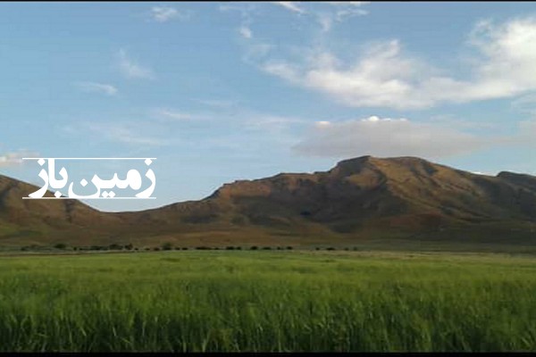 فروش زمین کشاورزی مرکزی ۱۰ هکتار محلات روستای خورهه-3