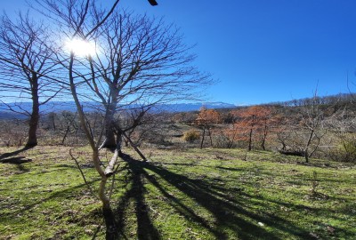 فروش زمین تجاری مسکونی شمال ۱۳۰۰ متر سوادکوه لفور روستای بورخانی