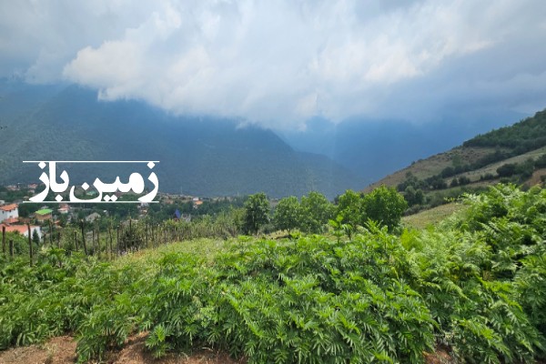 فروش زمین مسکونی شمال 1000 متر رویان آب پری روستای ییلاقی دهک-2