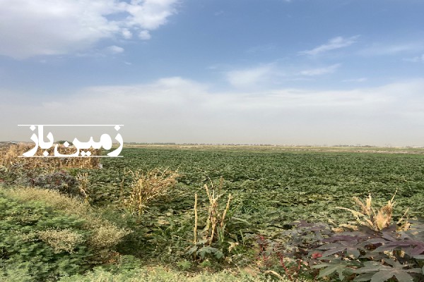 فروش زمین کشاورزی تهران ۲۳۰۰۰ متر پیشوا روستای معین آباد-1